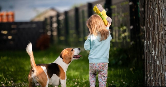 Girl Playing with Her Dog